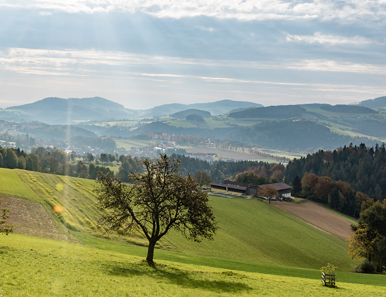 Landschaft (C) Zsolt Marton1