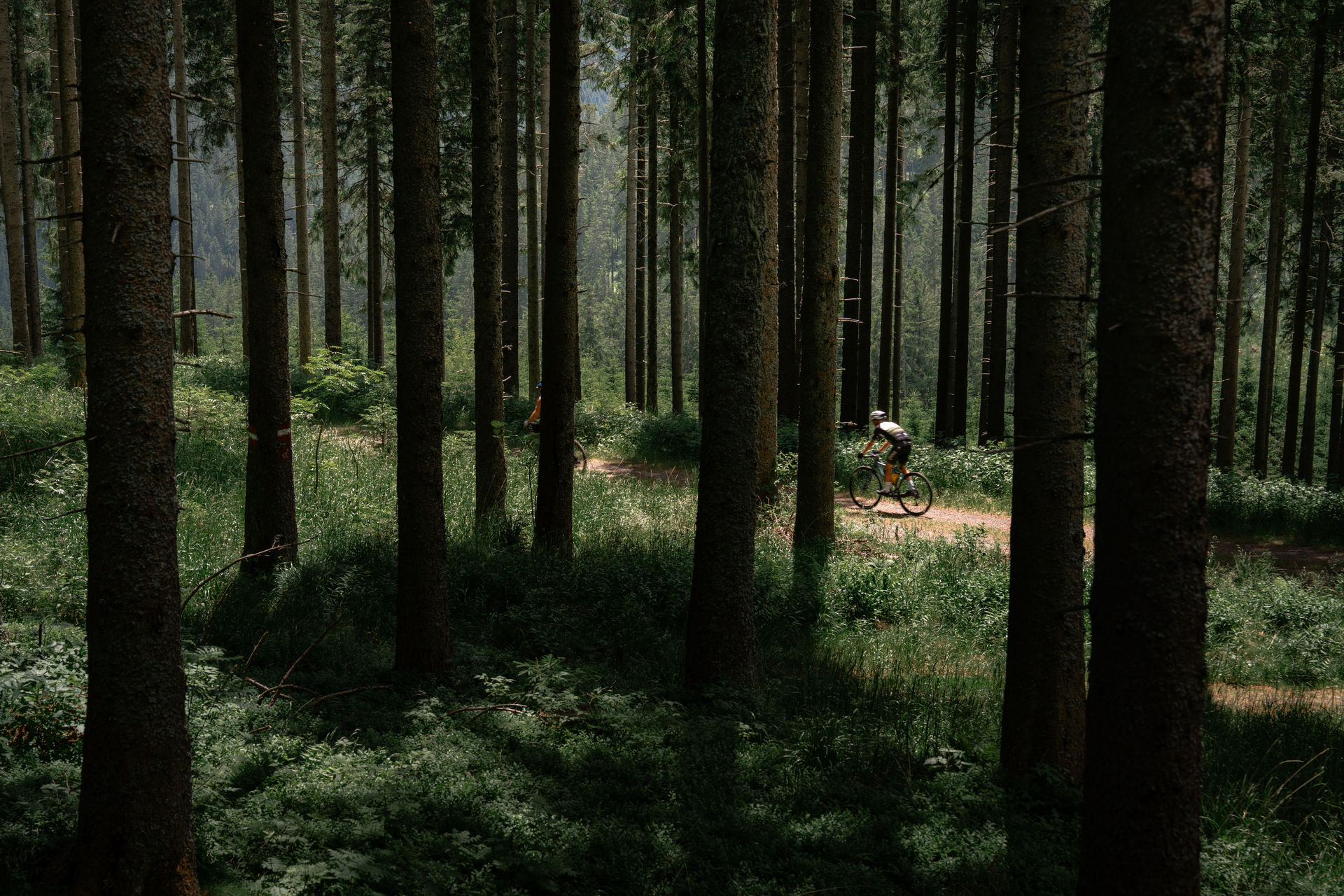 Waldweg_Christoph Lukas 90